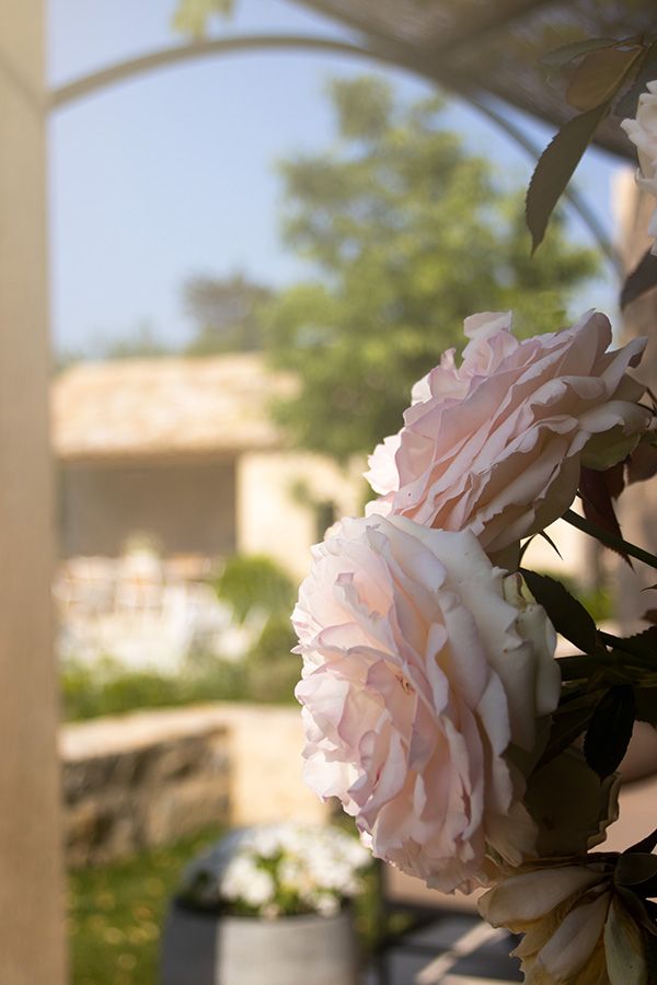 Location mas en Provence - Le mas de Gabin - maison de charme fleurie dans les Alpilles
